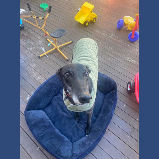 Photo of Larry