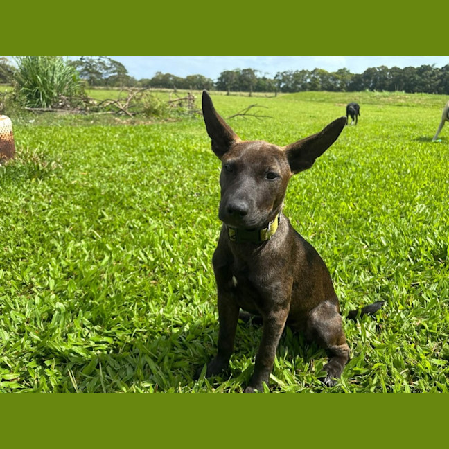 Photo of Lil Olive