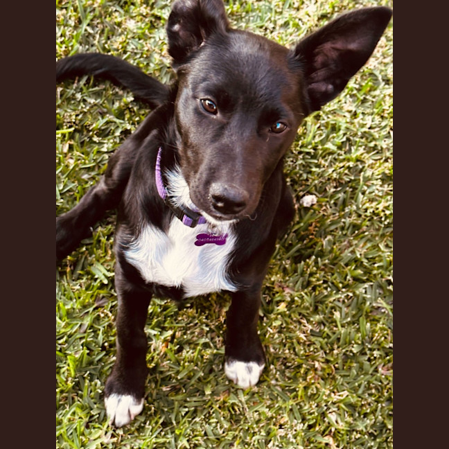 Photo of Molly
