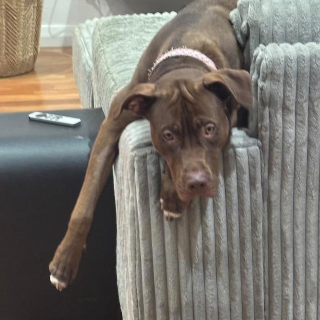 Photo of Coco
