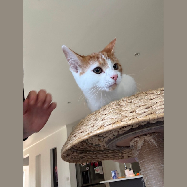 Photo of Andi Meet Me@Petstock Hastings 