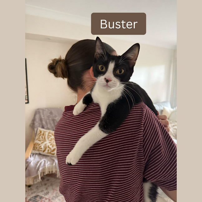 Photo of Buster & Harry