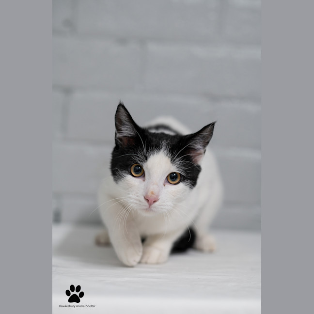 Photo of Max