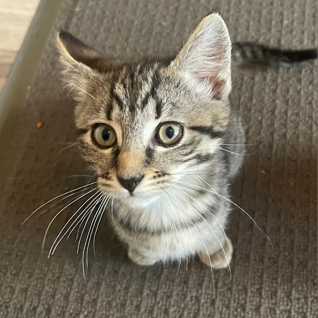Photo of Molly