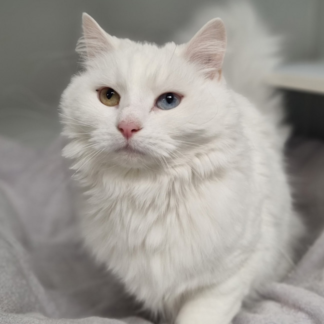 Photo of Kiki