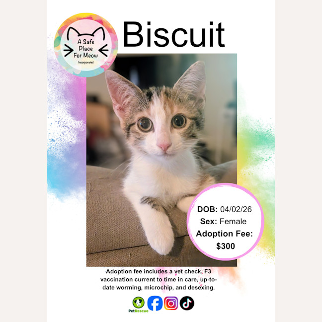 Photo of Biscuit