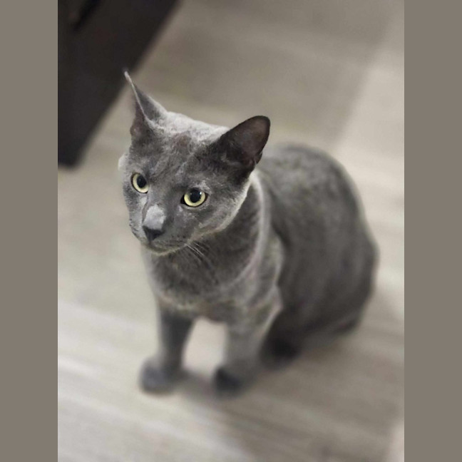 Photo of Winston