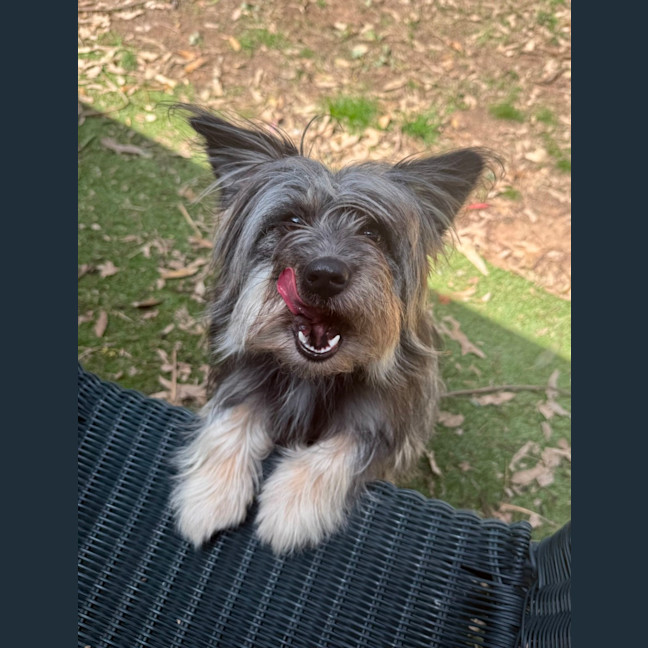 Photo of Oakley
