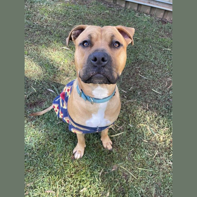 Photo of Max