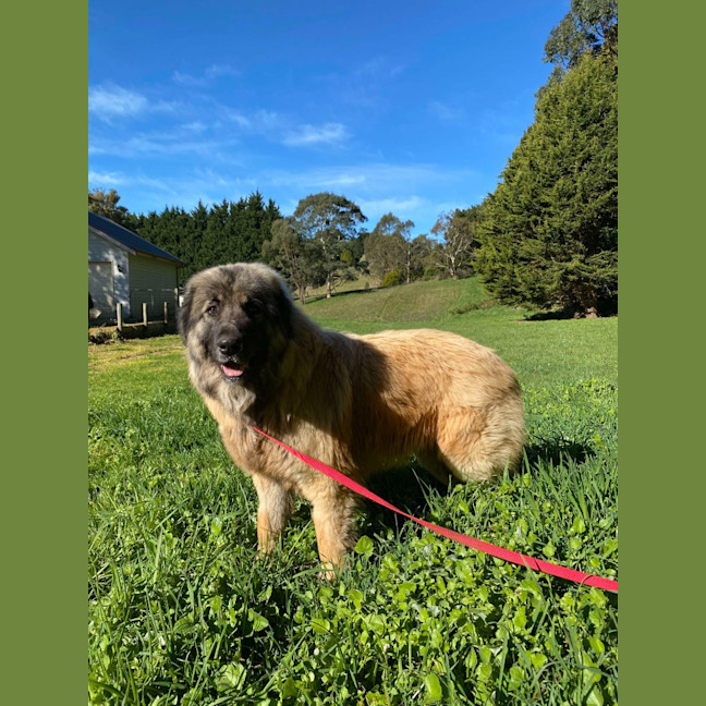 Photo of Hercules