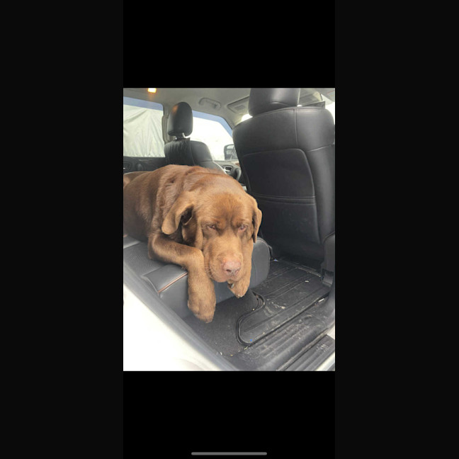 Photo of Freddy