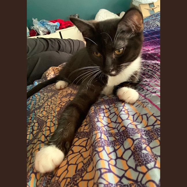 Photo of Zuko