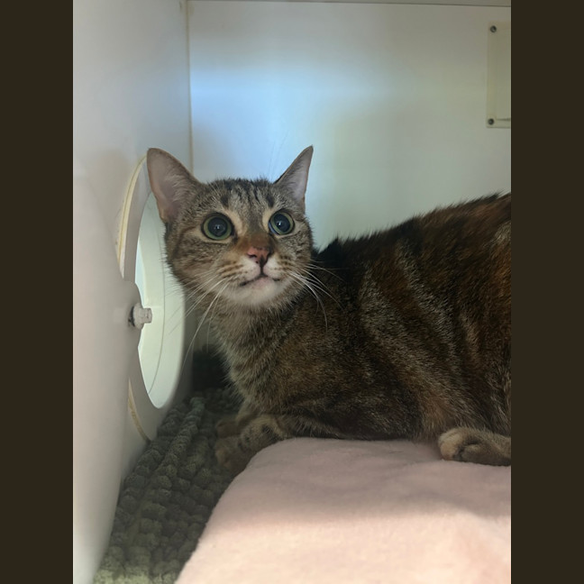 Photo of Mimmy White