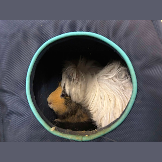 Photo of Peter & Pascal