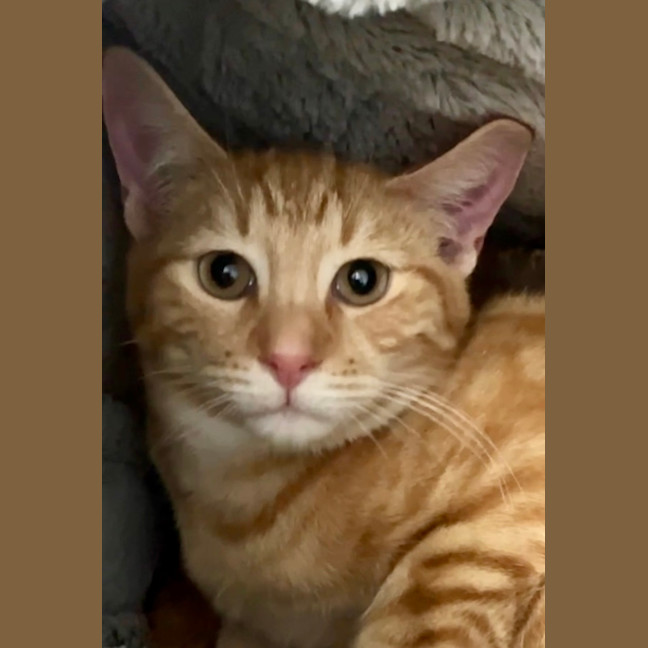 Photo of Zara And Leo