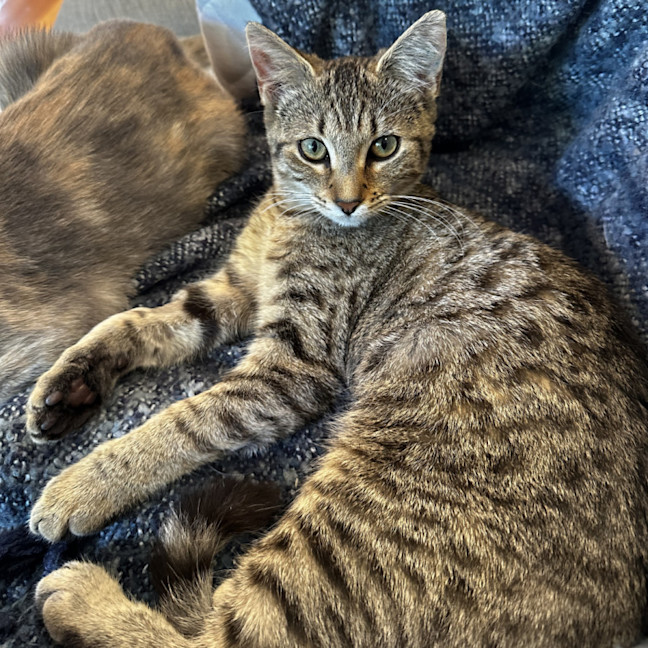 Photo of Twinkle