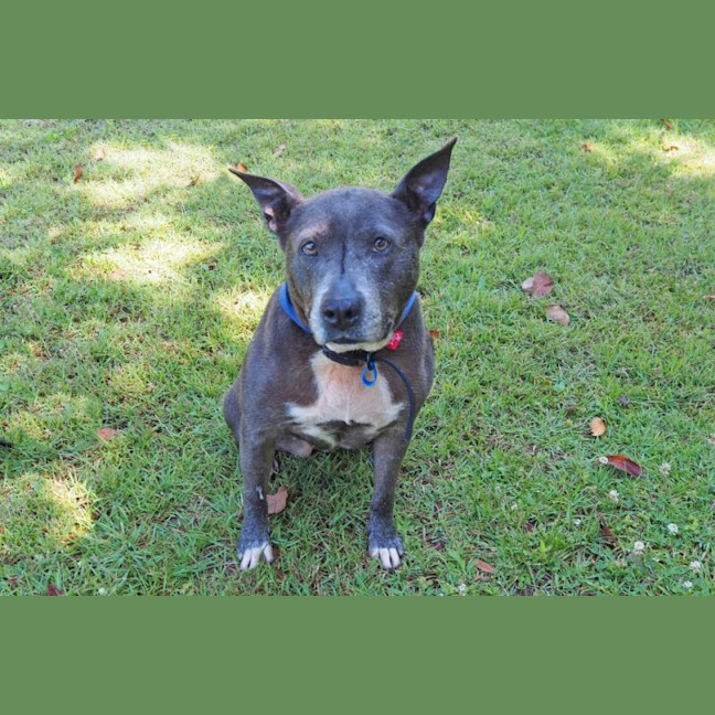 Photo of Bessie