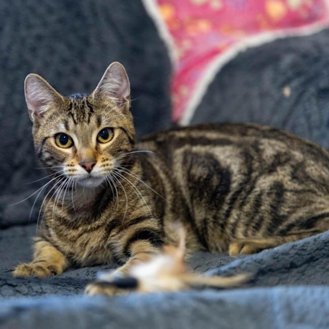 Photo of Schwartz & Aella