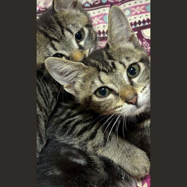 Photo of Trujillo (Trudy)