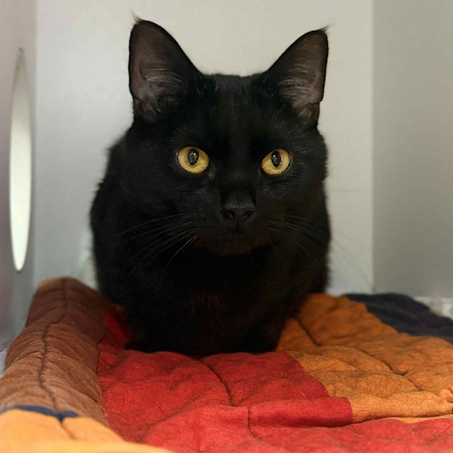 Photo of Salem Thomson