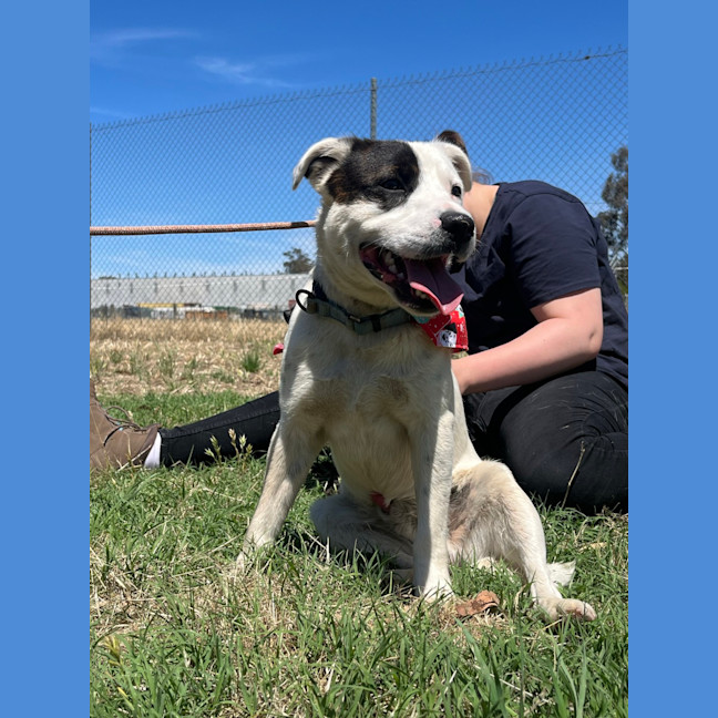 Photo of Captain Feathersword