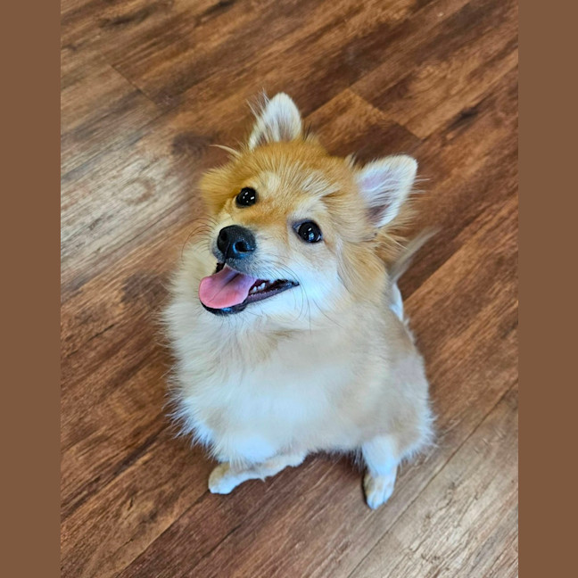 Photo of Freddie