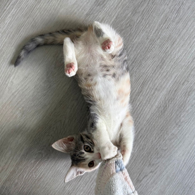 Photo of Georgia 🍒