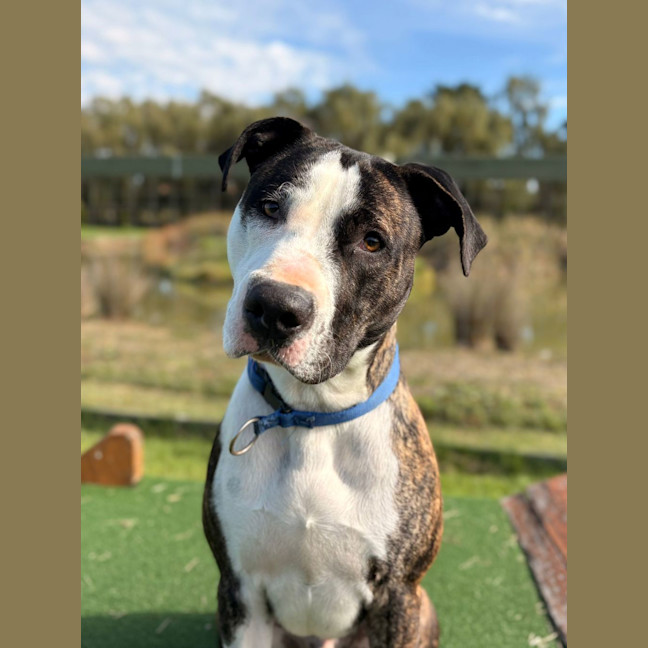Photo of Daxon