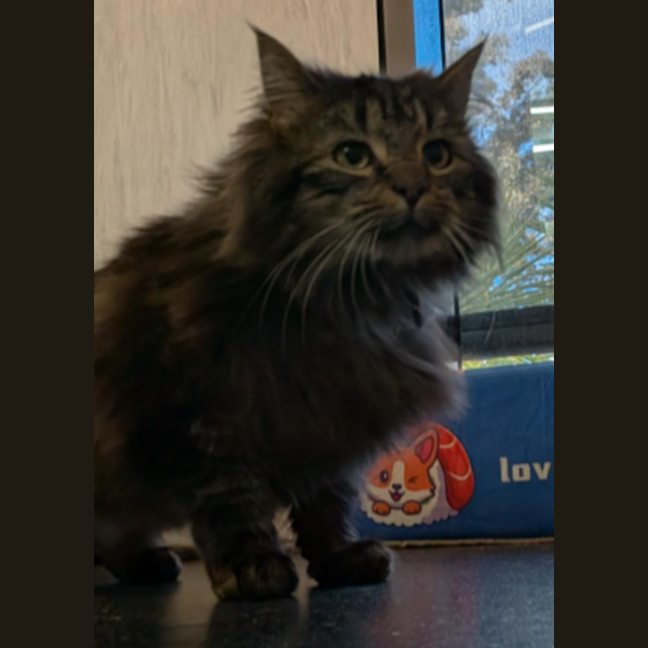 Photo of Cliff Richard