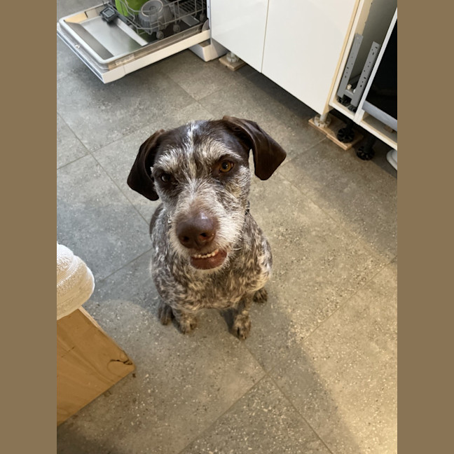 Photo of Daisy