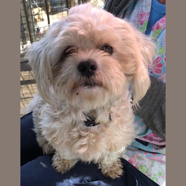 Photo of Monty