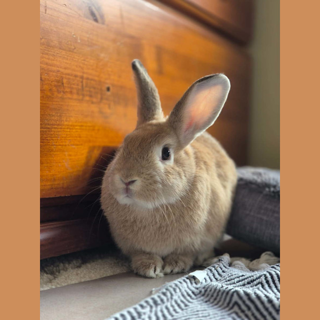 Photo of Eggy & Ellis