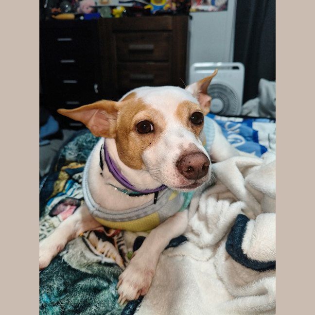 Photo of Jack 