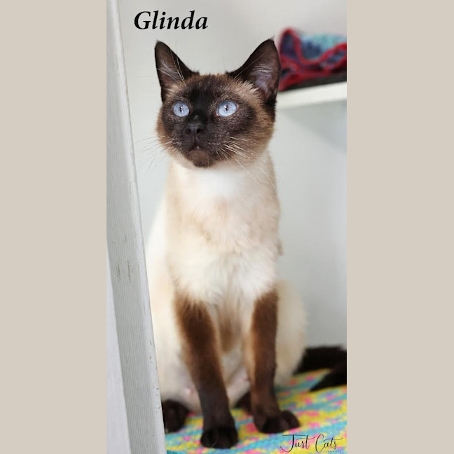 Photo of Glinda