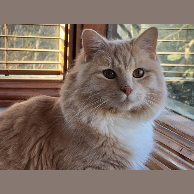 Photo of Ricardo Silvanus