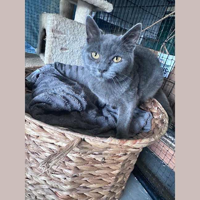 Photo of Victor 