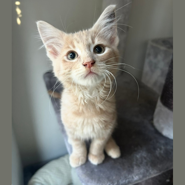 Photo of Passionfruit 