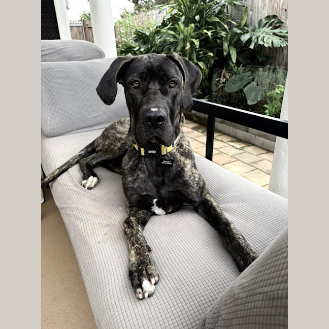 Photo of Freya