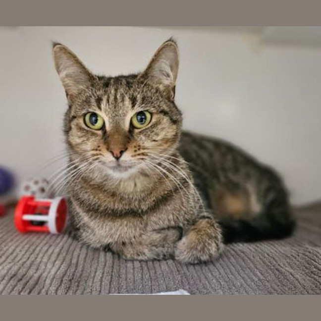 Photo of Juicy Couture