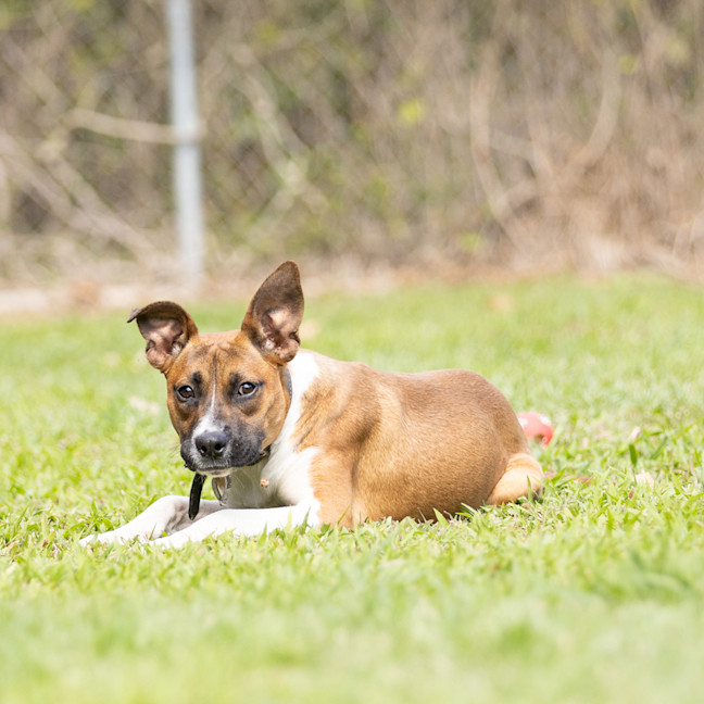 Photo of Buster