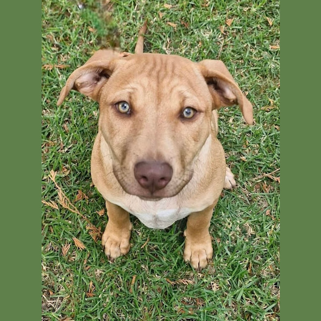 Photo of Ellie