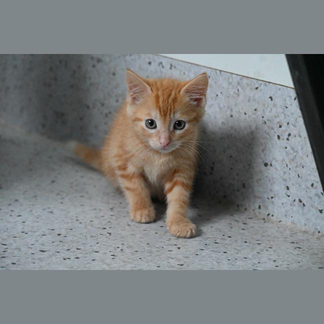 Photo of Wilma