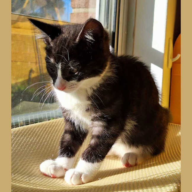 Photo of Bobbi