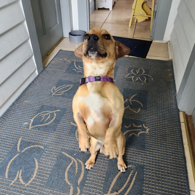 Photo of Homer