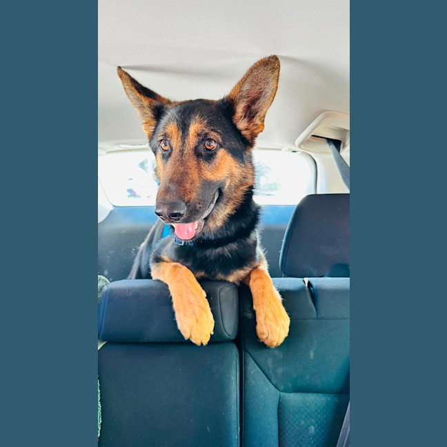 Photo of Blossom