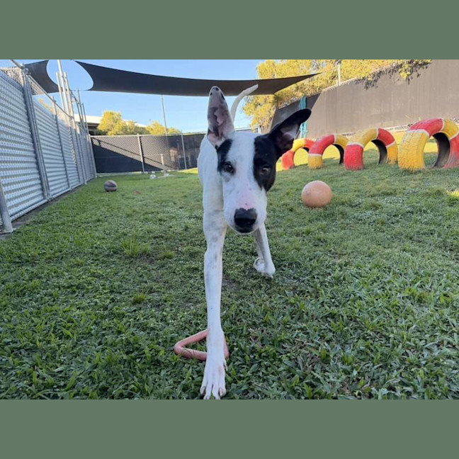 Photo of Aero