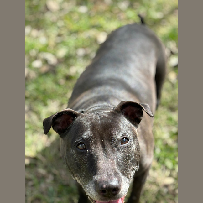 Photo of Millie