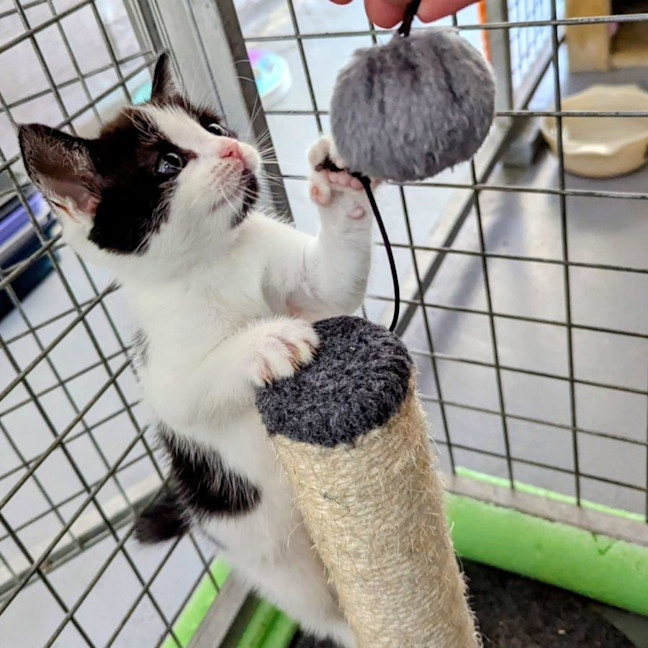 Photo of Jersey Girl