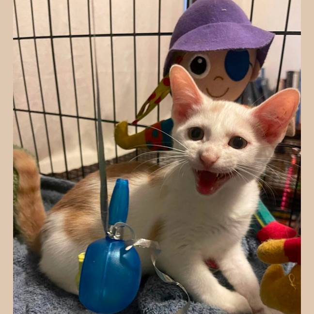 Photo of Sunny