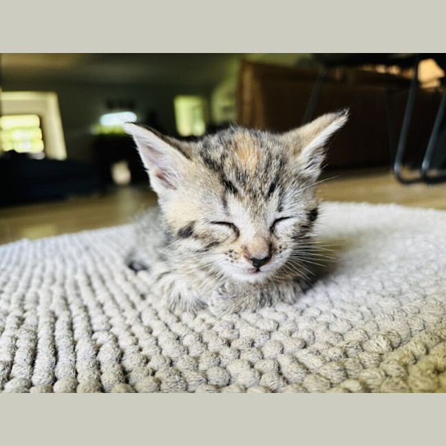 Photo of Peggy